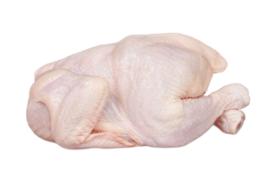 BROILER CHICKEN Broiler