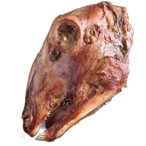 goat head Goat Head
